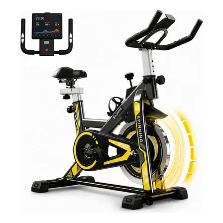 Bicicleta Spinning Romantic Crown com Roda de Inércia de 13kg
