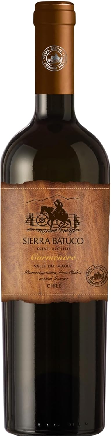 Sierra Batuco Cabernet Sauvignon: O Vinho Chileno com Ótimo Custo-Benefício